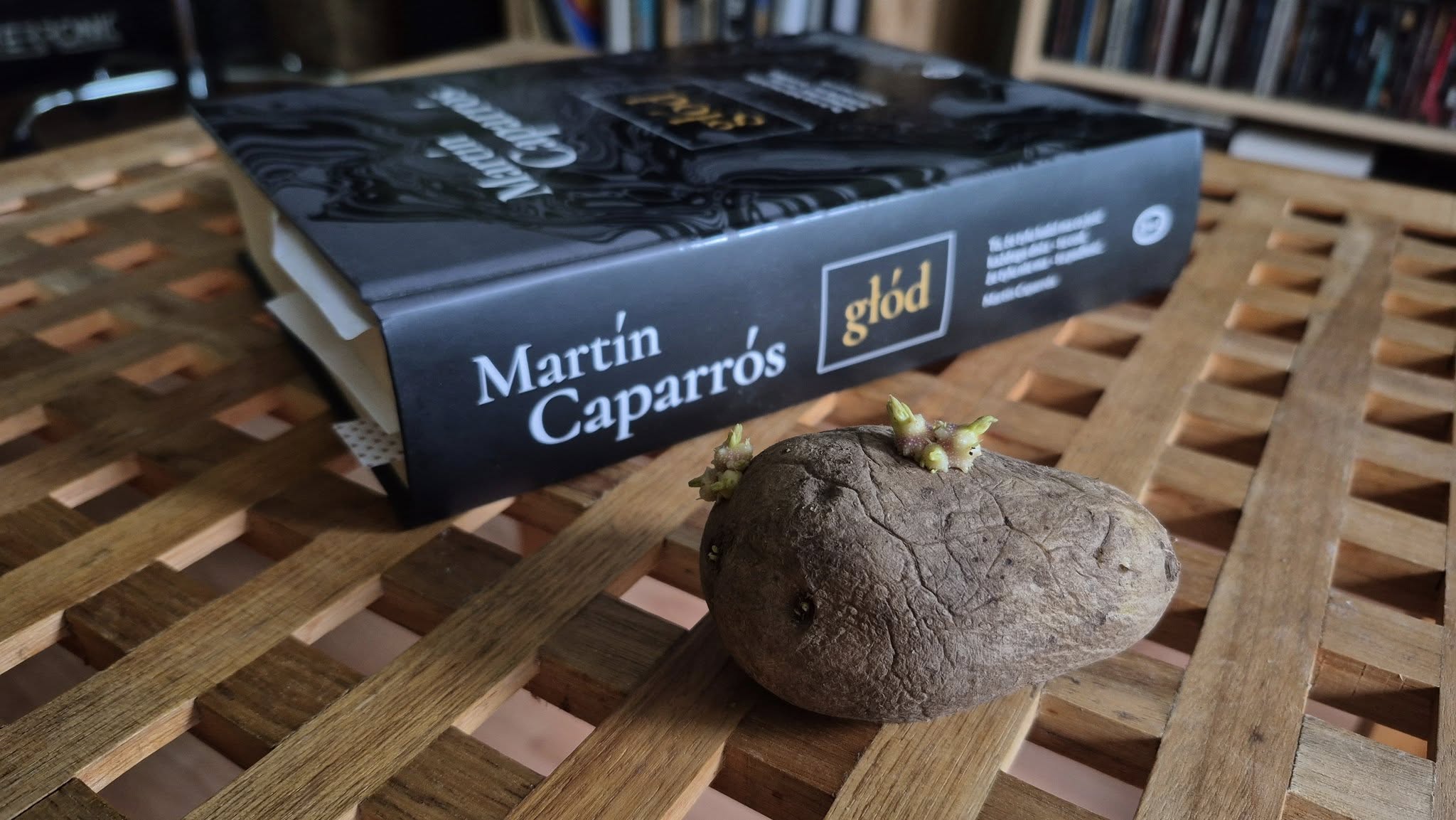 głod-ksiązka-cover